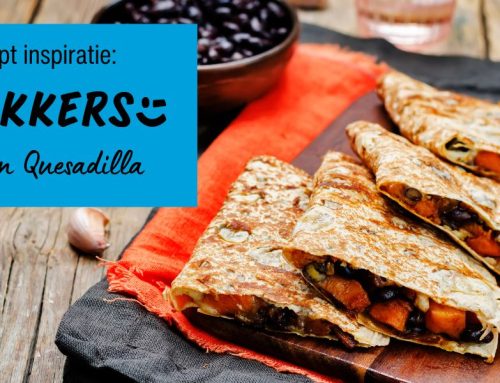 Vegan Quesadilla 2 500x383 - Zijn vezels gezond?