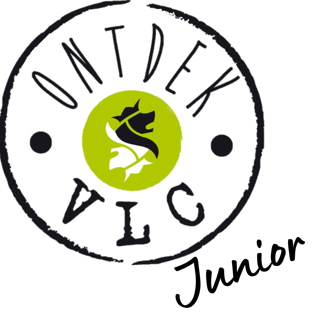 Ontdek junior gezonde catering basisscholen